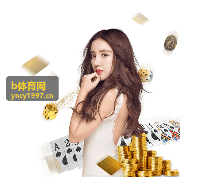 b体育网技术教程封面